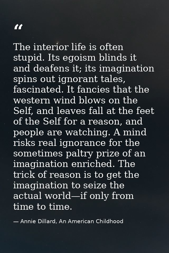 The interior life is often stupid. Its egoism blinds it and deafens it; its imagination spins out ignorant tales, fascin — Annie Dillard, An American Childhood