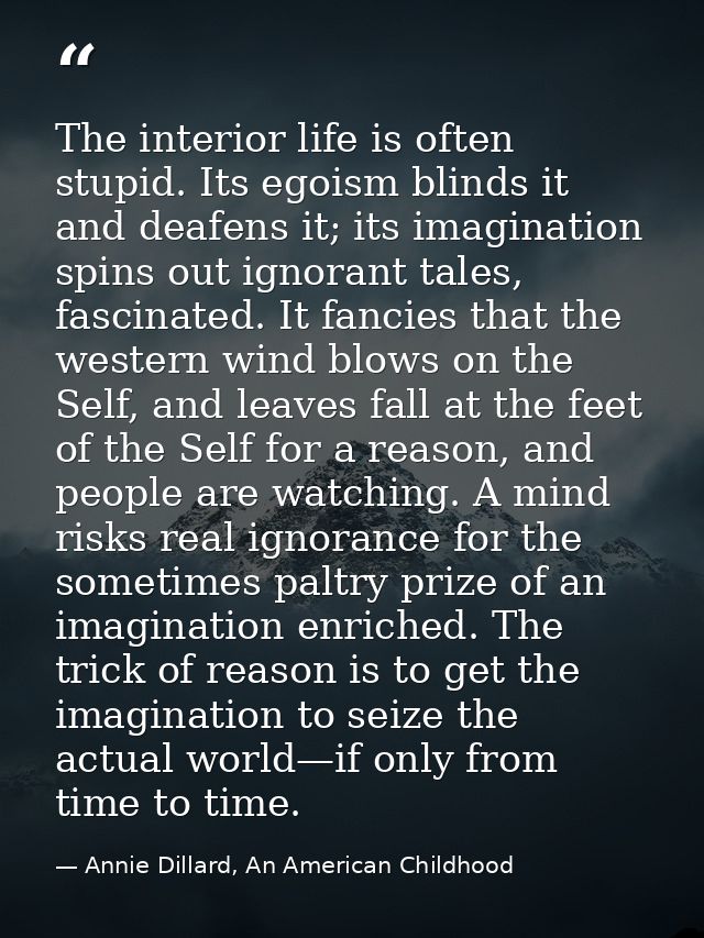 The interior life is often stupid. Its egoism blinds it and deafens it; its imagination spins out ignorant tales, fascin — Annie Dillard, An American Childhood