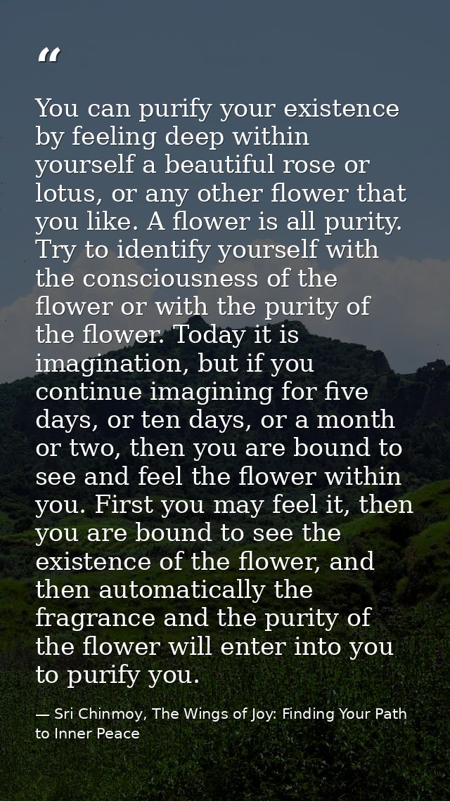 You can purify your existence by feeling deep within yourself a beautiful rose or lotus, or any other flower that you li — Sri Chinmoy, The Wings of Joy: Finding Your Path to Inner Peace