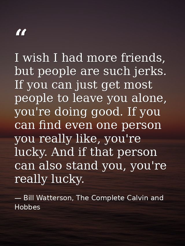 I wish I had more friends, but people are such jerks. If you can just get most people to leave you alone, you're doing g — Bill Watterson, The Complete Calvin and Hobbes