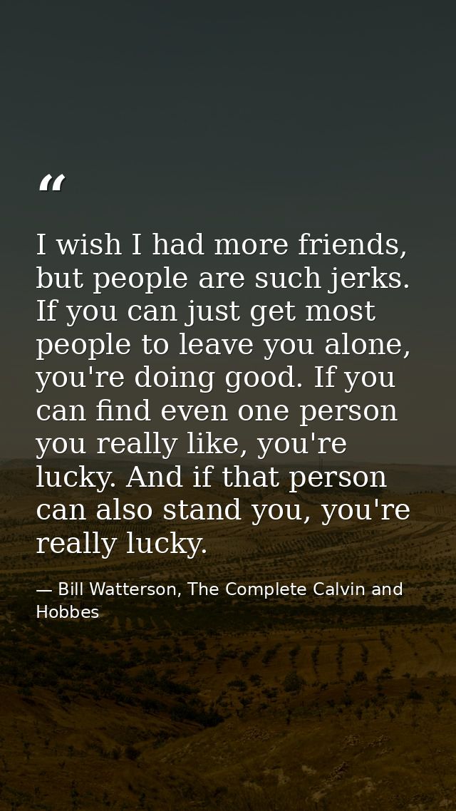 I wish I had more friends, but people are such jerks. If you can just get most people to leave you alone, you're doing g — Bill Watterson, The Complete Calvin and Hobbes