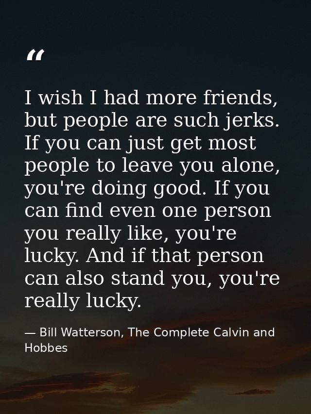I wish I had more friends, but people are such jerks. If you can just get most people to leave you alone, you're doing g — Bill Watterson, The Complete Calvin and Hobbes