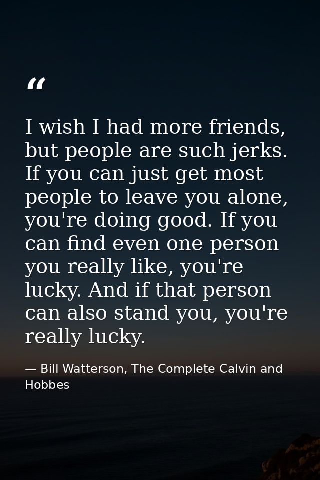 I wish I had more friends, but people are such jerks. If you can just get most people to leave you alone, you're doing g — Bill Watterson, The Complete Calvin and Hobbes