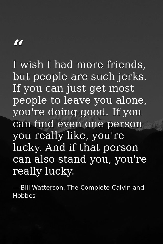 I wish I had more friends, but people are such jerks. If you can just get most people to leave you alone, you're doing g — Bill Watterson, The Complete Calvin and Hobbes