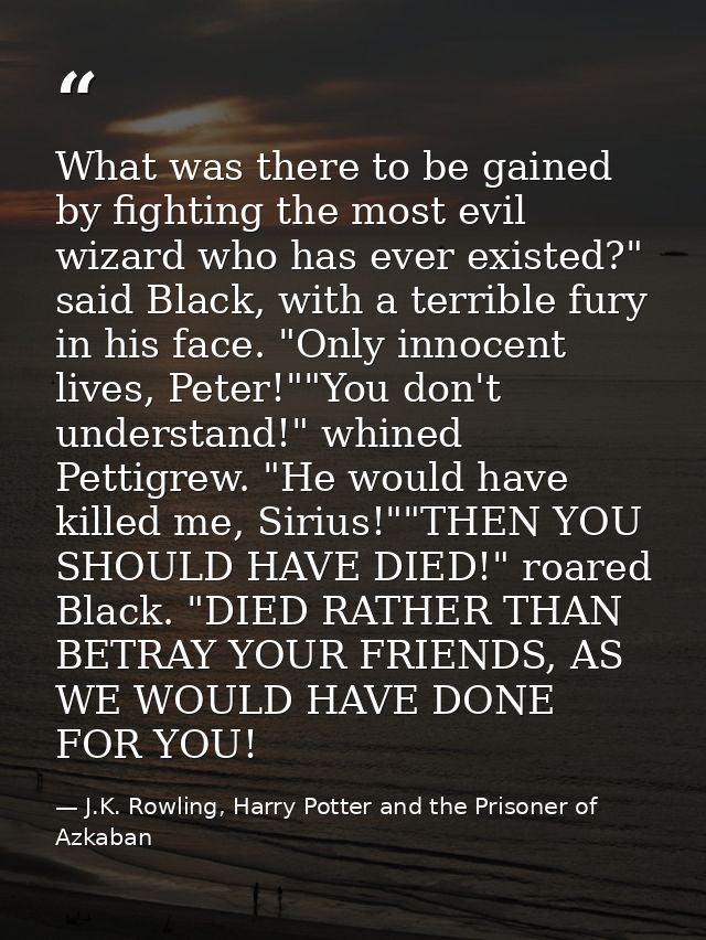 What was there to be gained by fighting the most evil wizard who has ever existed?" said Black, with a terrible fury in  — J.K. Rowling, Harry Potter and the Prisoner of Azkaban