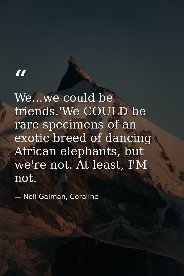 We...we could be friends.'We COULD be rare specimens of an exotic breed of dancing African elephants, but we're not. At  — Neil Gaiman, Coraline