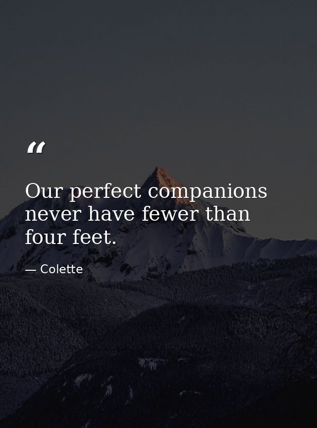 Our perfect companions never have fewer than four feet. — Colette