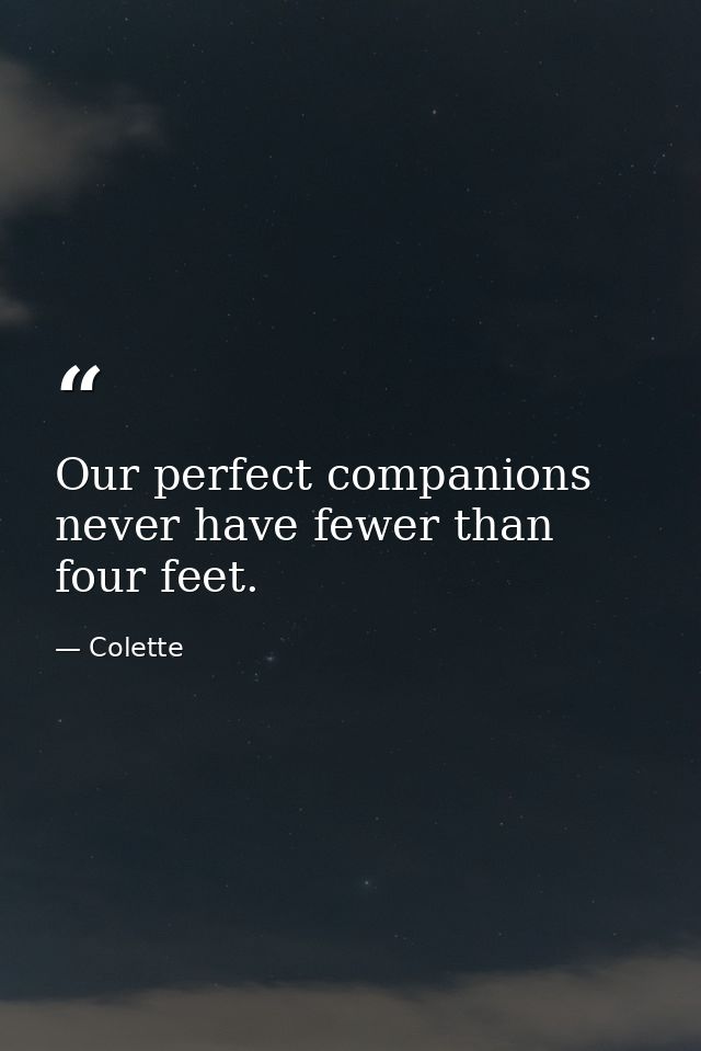 Our perfect companions never have fewer than four feet. — Colette