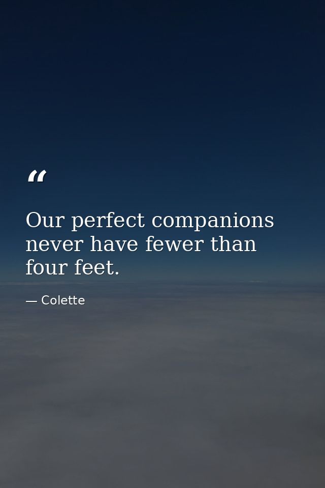 Our perfect companions never have fewer than four feet. — Colette