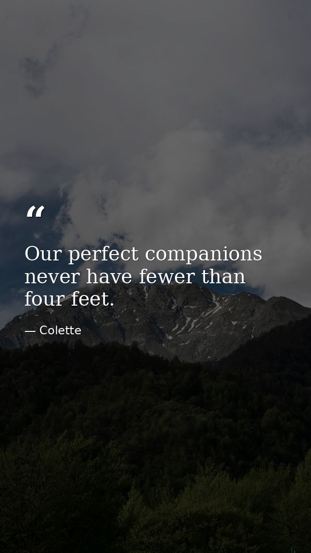 Our perfect companions never have fewer than four feet. — Colette