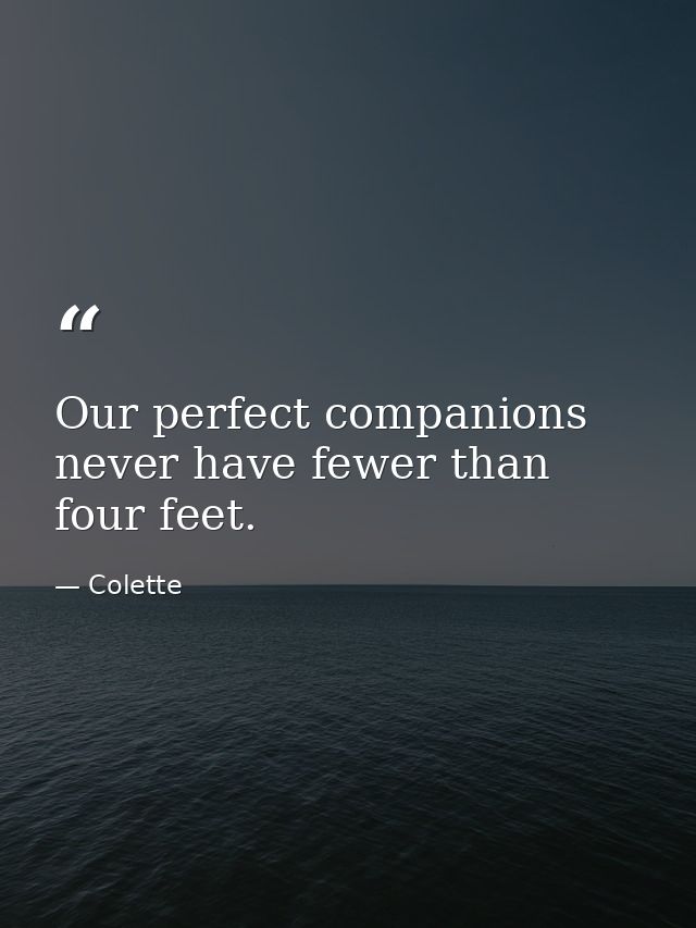 Our perfect companions never have fewer than four feet. — Colette