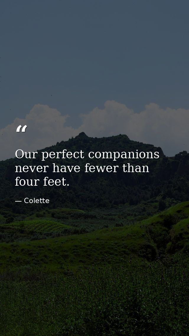 Our perfect companions never have fewer than four feet. — Colette