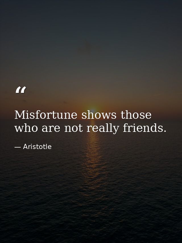 Misfortune shows those who are not really friends. — Aristotle