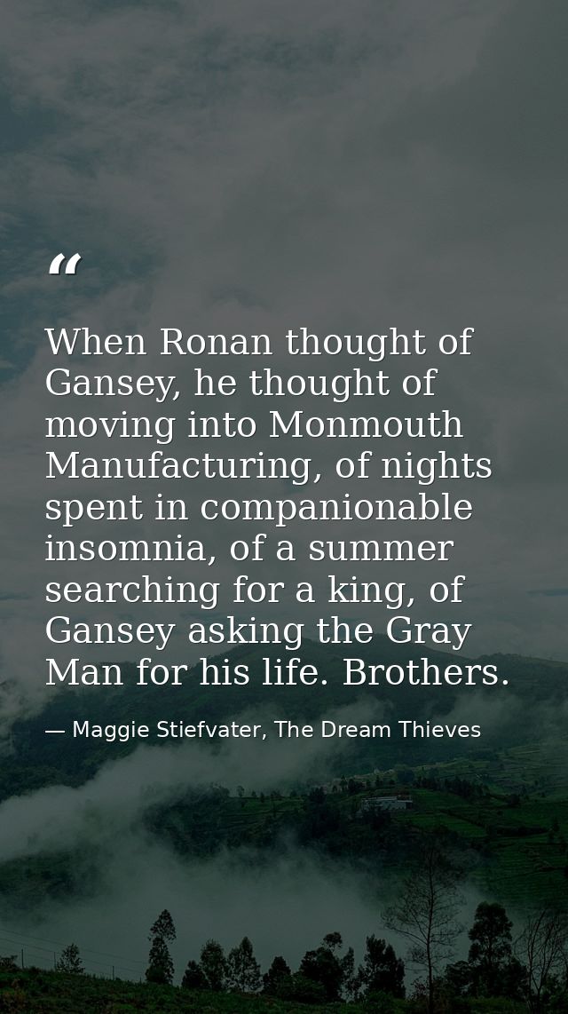 When Ronan thought of Gansey, he thought of moving into Monmouth Manufacturing, of nights spent in companionable insomni — Maggie Stiefvater, The Dream Thieves