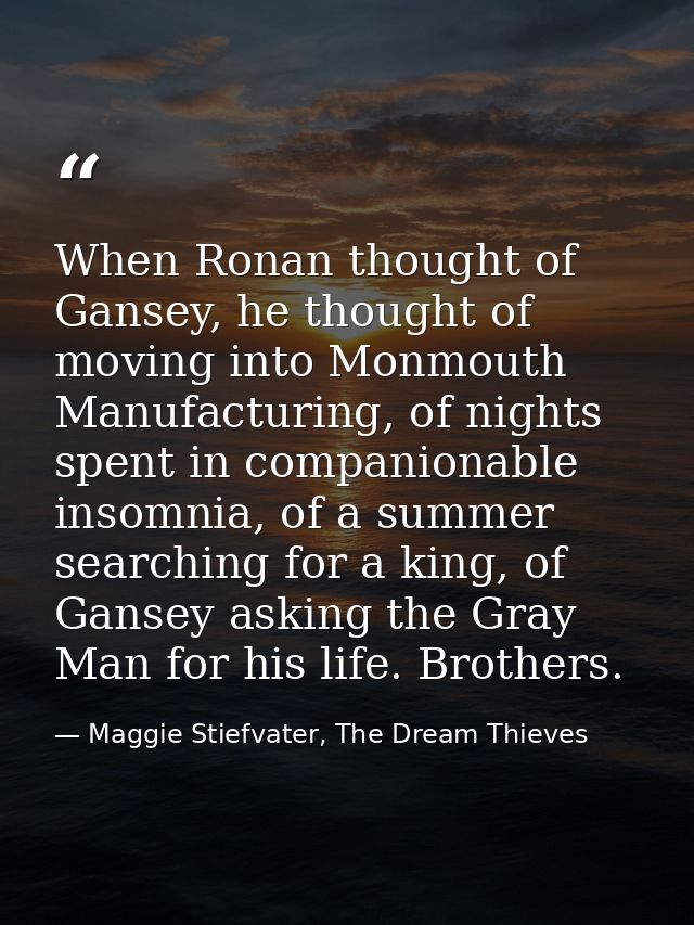 When Ronan thought of Gansey, he thought of moving into Monmouth Manufacturing, of nights spent in companionable insomni — Maggie Stiefvater, The Dream Thieves