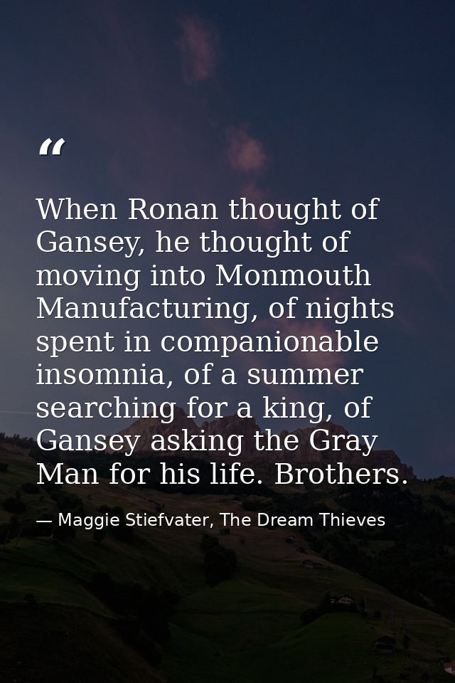 When Ronan thought of Gansey, he thought of moving into Monmouth Manufacturing, of nights spent in companionable insomni — Maggie Stiefvater, The Dream Thieves