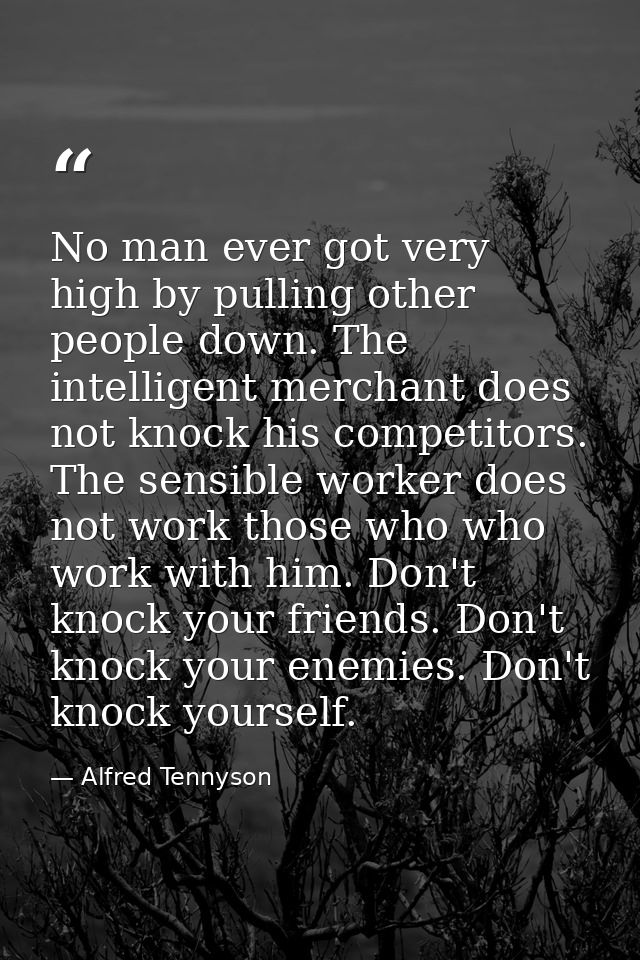 No man ever got very high by pulling other people down. The intelligent merchant does not knock his competitors. The sen — Alfred Tennyson