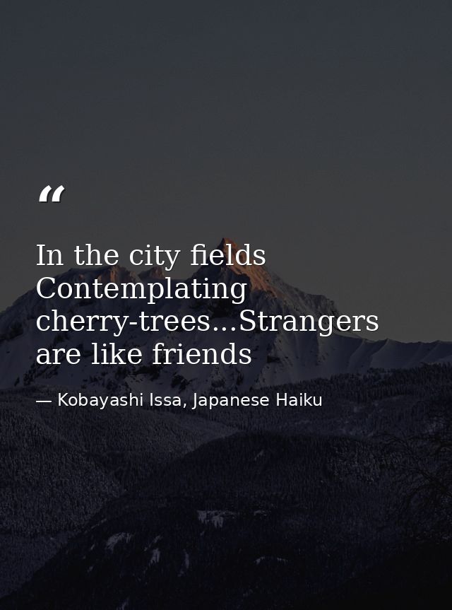 In the city fields Contemplating cherry-trees...Strangers are like friends — Kobayashi Issa, Japanese Haiku