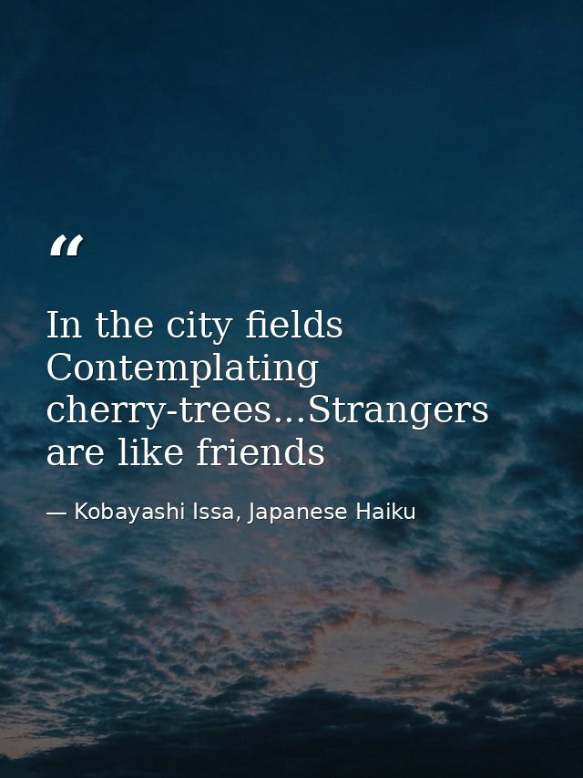 In the city fields Contemplating cherry-trees...Strangers are like friends — Kobayashi Issa, Japanese Haiku