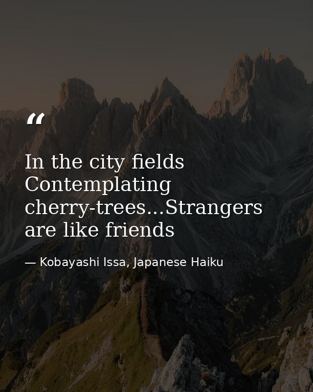 In the city fields Contemplating cherry-trees...Strangers are like friends — Kobayashi Issa, Japanese Haiku