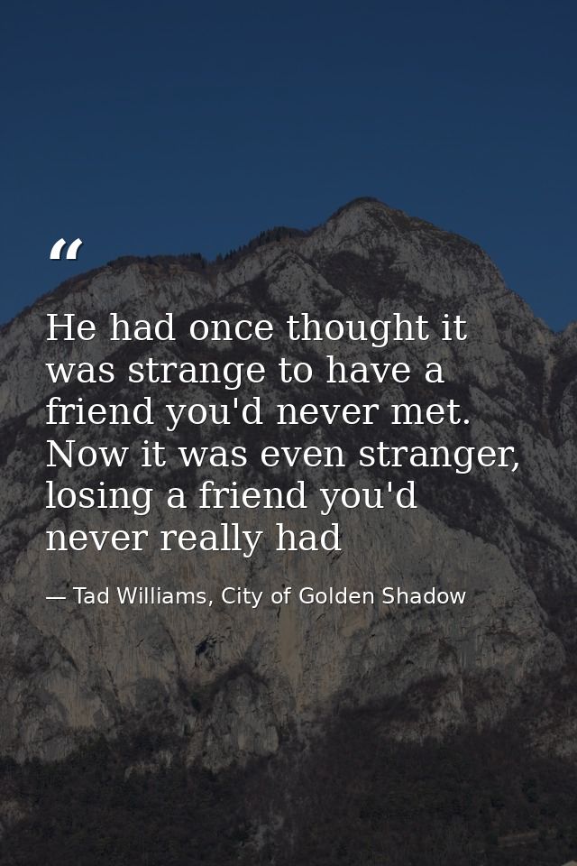 He had once thought it was strange to have a friend you'd never met. Now it was even stranger, losing a friend you'd nev — Tad Williams, City of Golden Shadow
