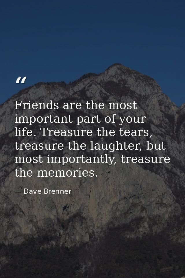 Friends are the most important part of your life. Treasure the tears, treasure the laughter, but most importantly, treas — Dave Brenner