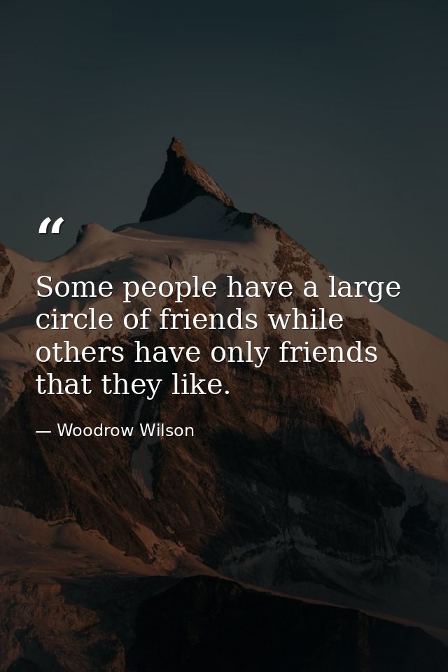 Some people have a large circle of friends while others have only friends that they like. — Woodrow Wilson