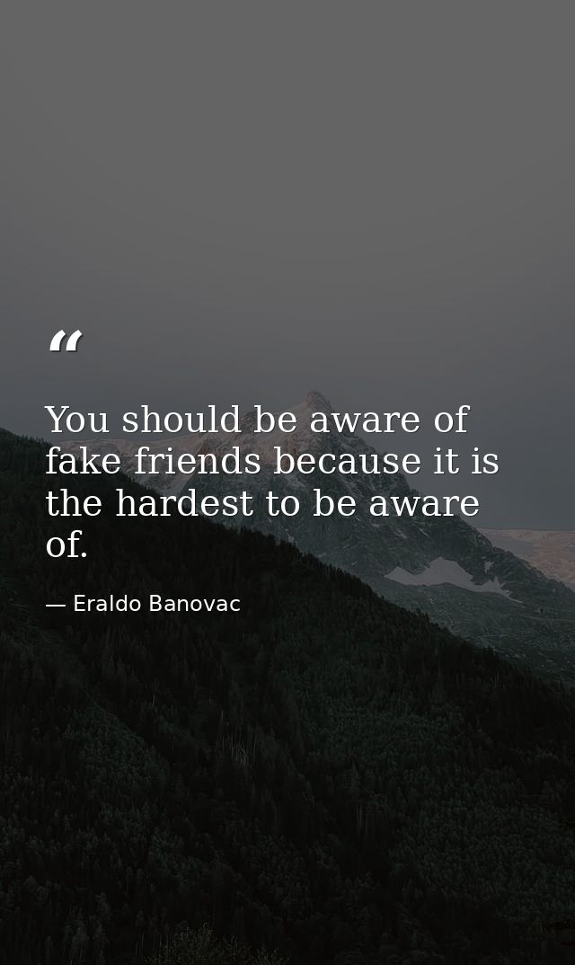 You should be aware of fake friends because it is the hardest to be aware of. — Eraldo Banovac