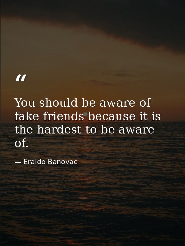 You should be aware of fake friends because it is the hardest to be aware of. — Eraldo Banovac