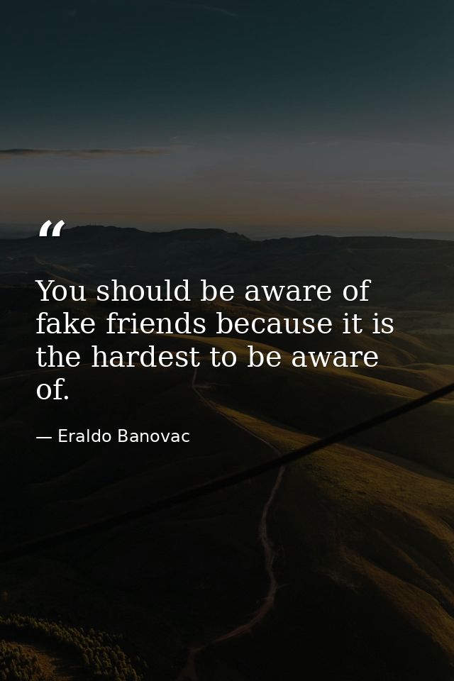 You should be aware of fake friends because it is the hardest to be aware of. — Eraldo Banovac