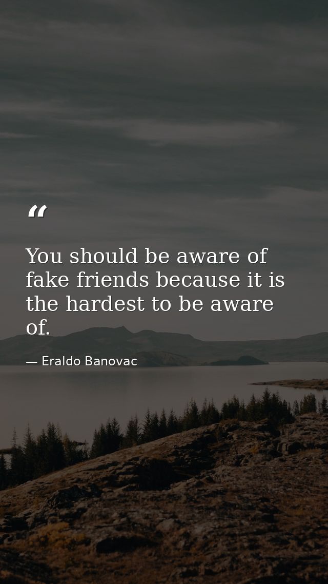 You should be aware of fake friends because it is the hardest to be aware of. — Eraldo Banovac