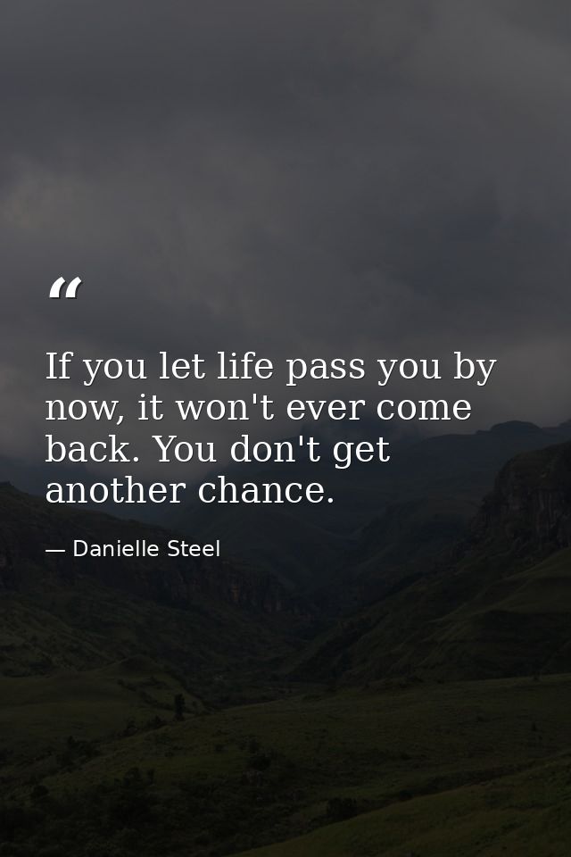 If you let life pass you by now, it won't ever come back. You don't get another chance. — Danielle Steel