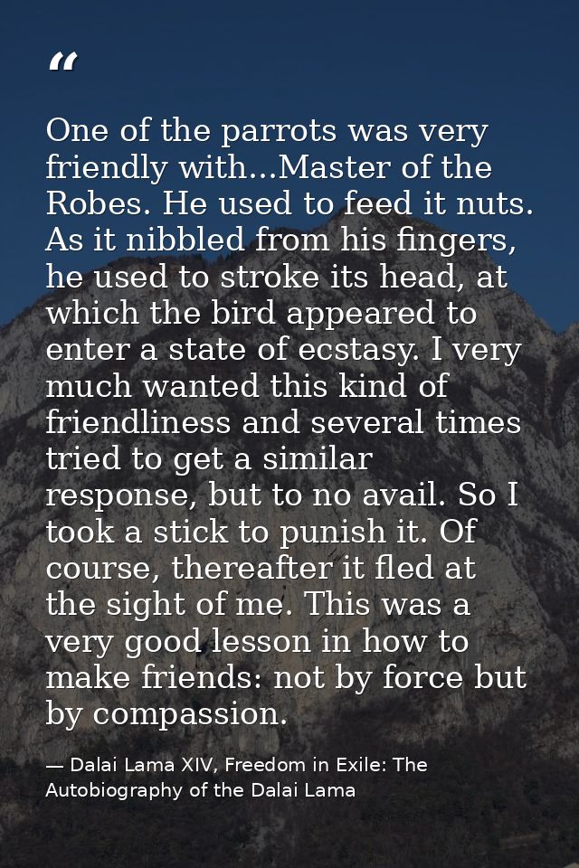 One of the parrots was very friendly with...Master of the Robes. He used to feed it nuts. As it nibbled from his fingers — Dalai Lama XIV, Freedom in Exile: The Autobiography of the Dalai Lama