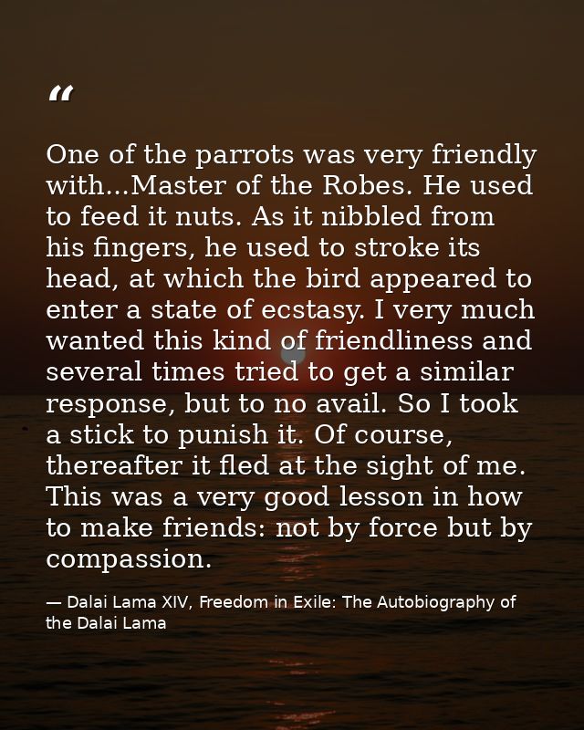 One of the parrots was very friendly with...Master of the Robes. He used to feed it nuts. As it nibbled from his fingers — Dalai Lama XIV, Freedom in Exile: The Autobiography of the Dalai Lama