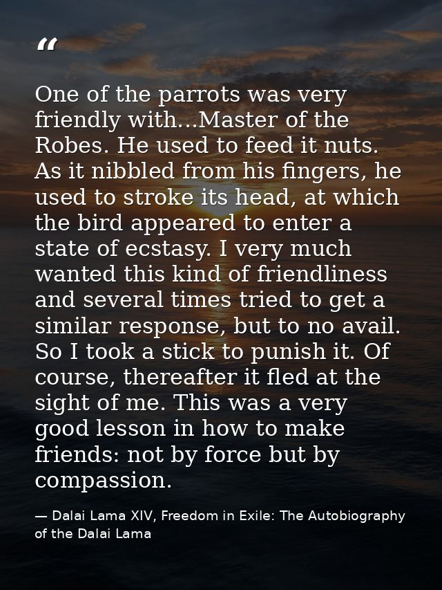 One of the parrots was very friendly with...Master of the Robes. He used to feed it nuts. As it nibbled from his fingers — Dalai Lama XIV, Freedom in Exile: The Autobiography of the Dalai Lama