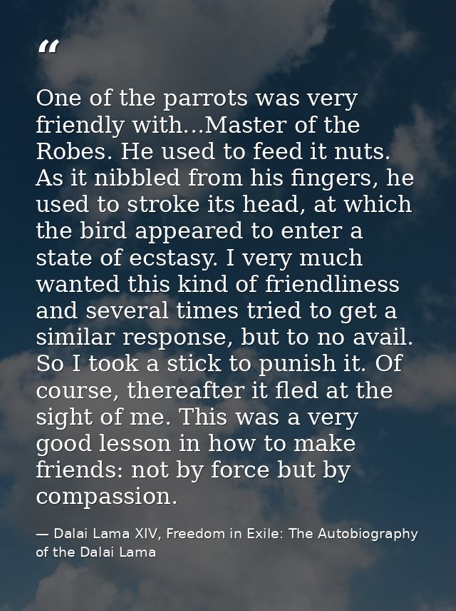 One of the parrots was very friendly with...Master of the Robes. He used to feed it nuts. As it nibbled from his fingers — Dalai Lama XIV, Freedom in Exile: The Autobiography of the Dalai Lama