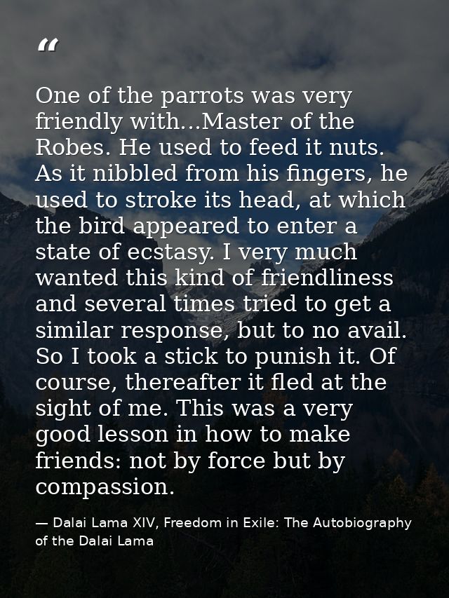 One of the parrots was very friendly with...Master of the Robes. He used to feed it nuts. As it nibbled from his fingers — Dalai Lama XIV, Freedom in Exile: The Autobiography of the Dalai Lama