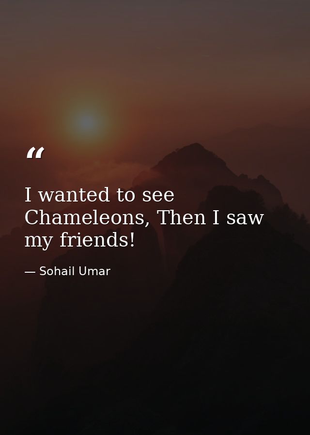 I wanted to see Chameleons, Then I saw my friends! — Sohail Umar