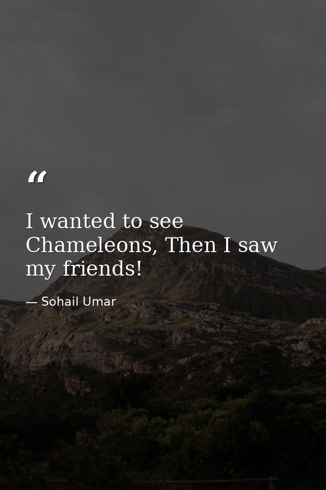 I wanted to see Chameleons, Then I saw my friends! — Sohail Umar
