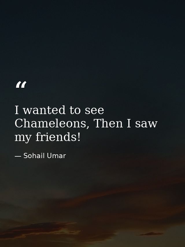 I wanted to see Chameleons, Then I saw my friends! — Sohail Umar