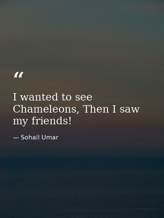 I wanted to see Chameleons, Then I saw my friends! — Sohail Umar