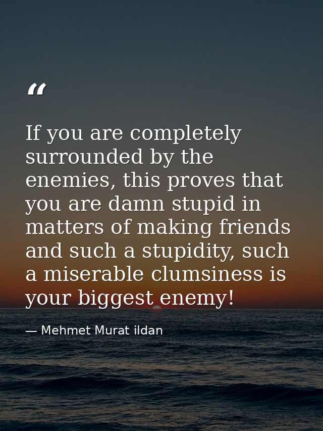 If you are completely surrounded by the enemies, this proves that you are damn stupid in matters of making friends and s — Mehmet Murat ildan