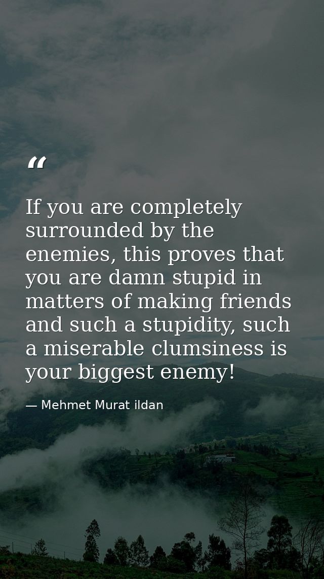 If you are completely surrounded by the enemies, this proves that you are damn stupid in matters of making friends and s — Mehmet Murat ildan