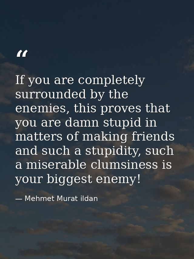 If you are completely surrounded by the enemies, this proves that you are damn stupid in matters of making friends and s — Mehmet Murat ildan