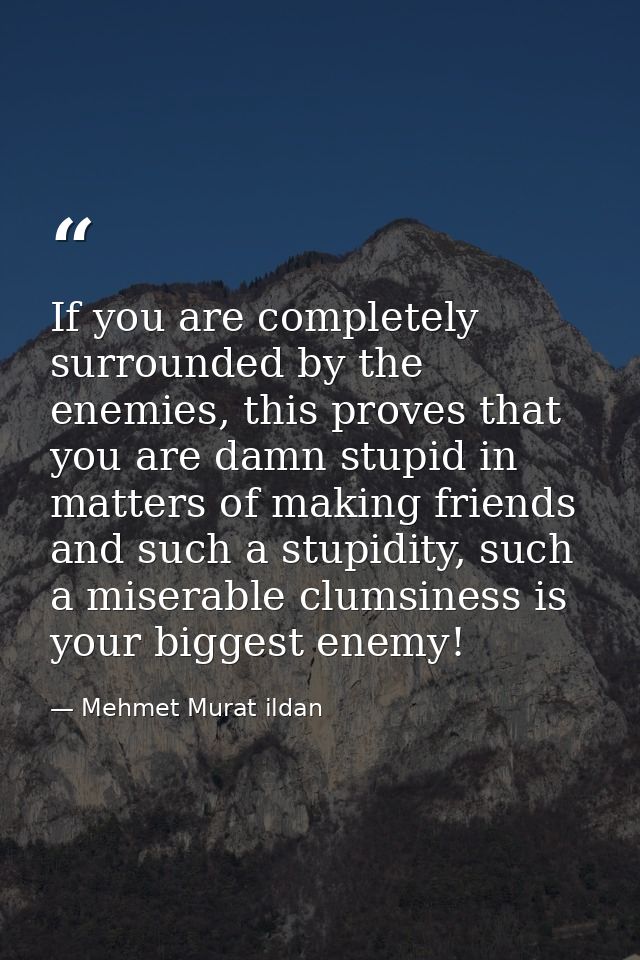If you are completely surrounded by the enemies, this proves that you are damn stupid in matters of making friends and s — Mehmet Murat ildan
