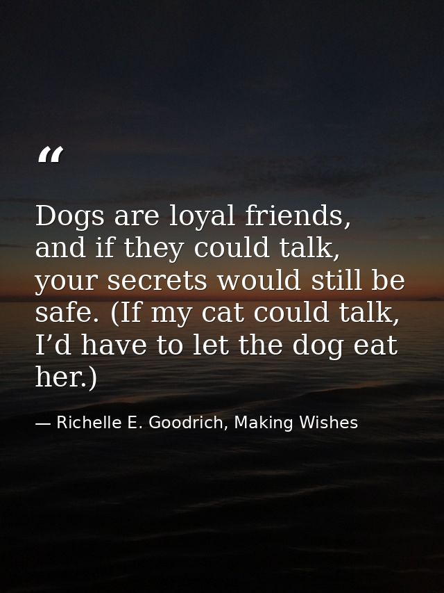 Dogs are loyal friends, and if they could talk, your secrets would still be safe. (If my cat could talk, I’d have to let — Richelle E. Goodrich, Making Wishes