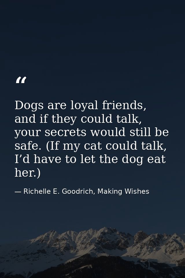 Dogs are loyal friends, and if they could talk, your secrets would still be safe. (If my cat could talk, I’d have to let — Richelle E. Goodrich, Making Wishes