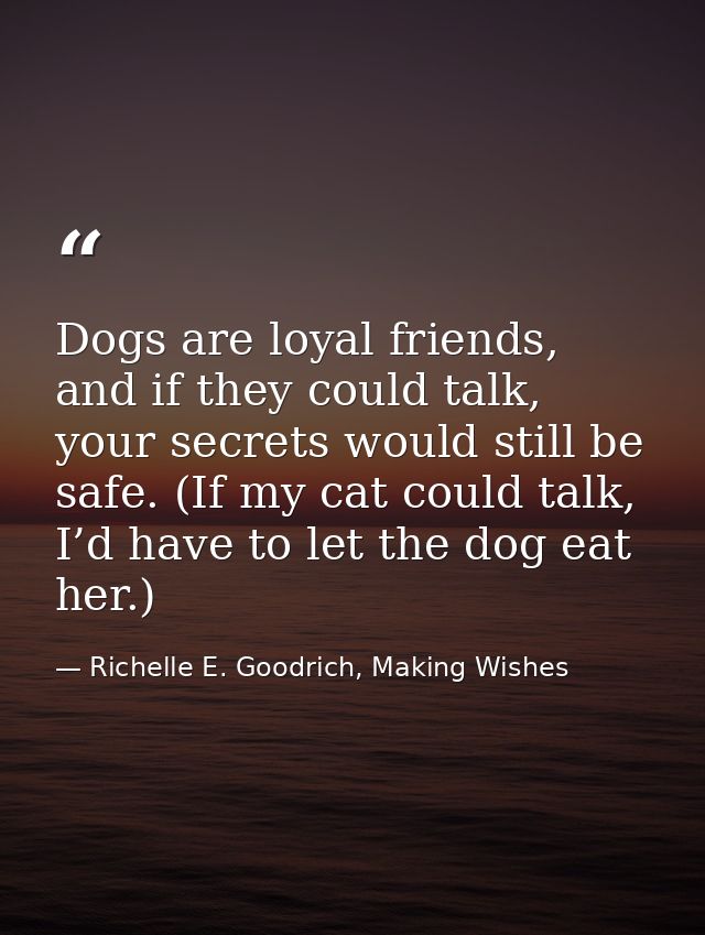 Dogs are loyal friends, and if they could talk, your secrets would still be safe. (If my cat could talk, I’d have to let — Richelle E. Goodrich, Making Wishes