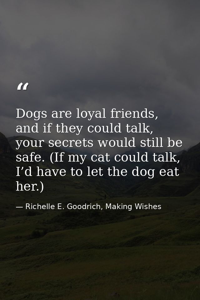 Dogs are loyal friends, and if they could talk, your secrets would still be safe. (If my cat could talk, I’d have to let — Richelle E. Goodrich, Making Wishes