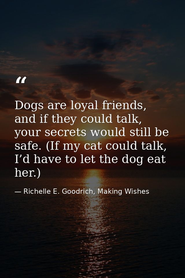 Dogs are loyal friends, and if they could talk, your secrets would still be safe. (If my cat could talk, I’d have to let — Richelle E. Goodrich, Making Wishes